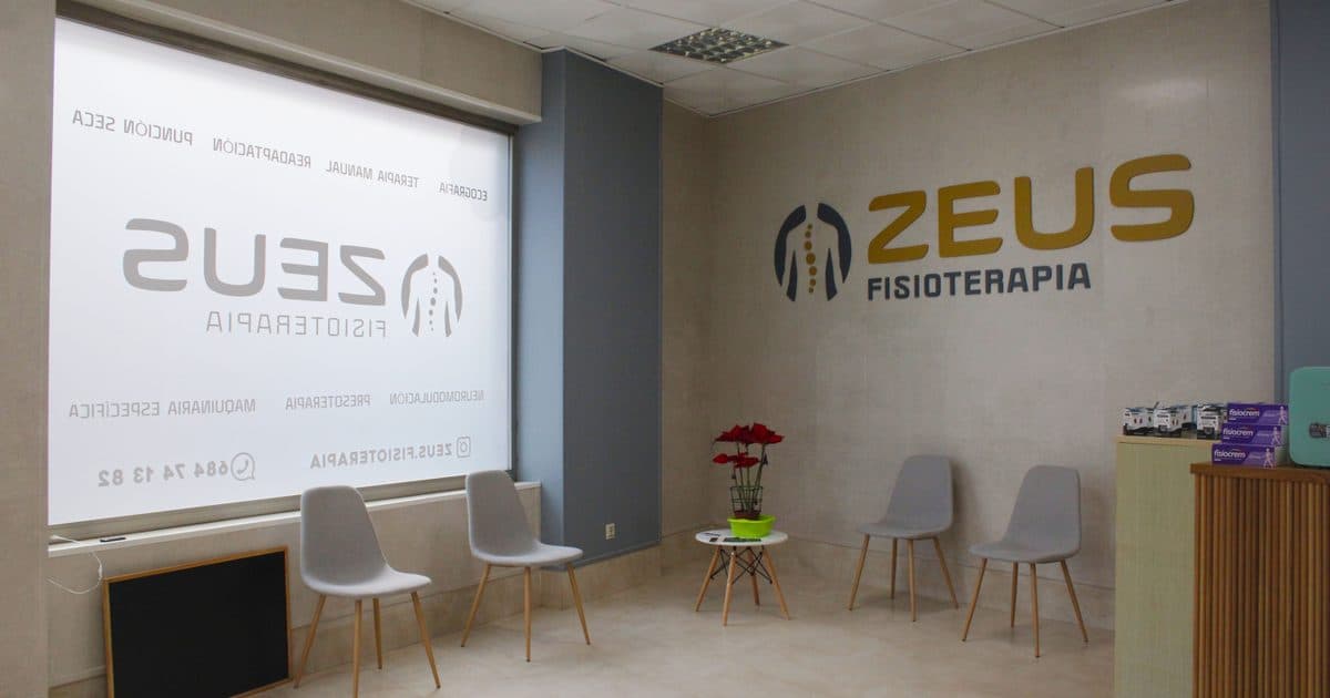 Web de Zeus Fisioterapia diseñada por Intelidatia